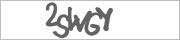 Subscription verification code